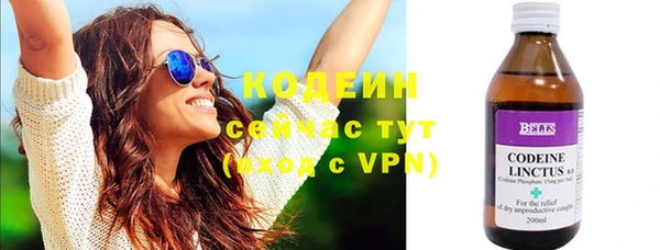 соль ск Каменногорск