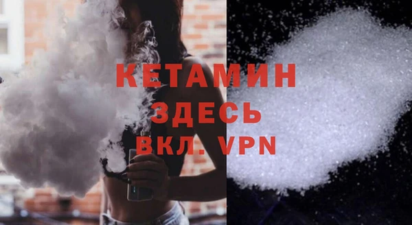 сатива Каменка