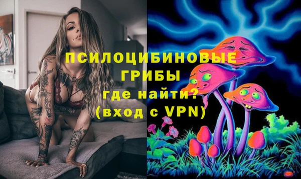 сатива Каменка
