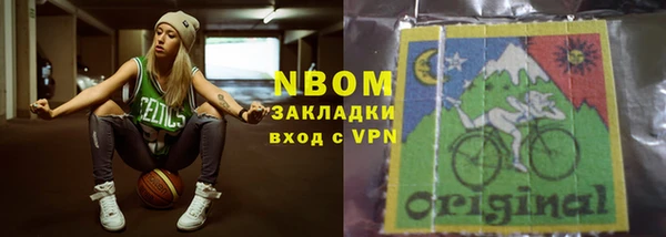 сатива Каменка