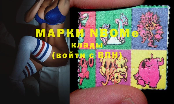 сатива Каменка