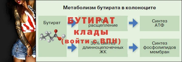 сатива Каменка