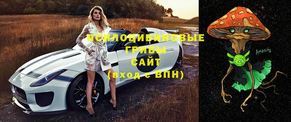 мяу мяу мука Каменск-Шахтинский
