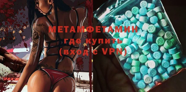 сатива Каменка