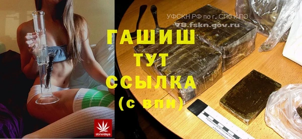 сатива Каменка