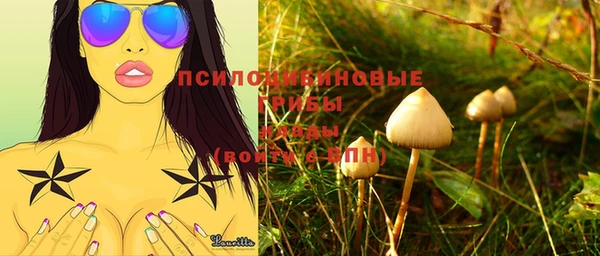 СК Домодедово