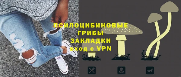 сатива Каменка