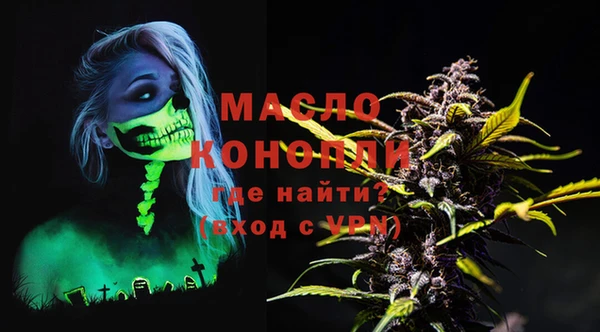 сатива Каменка