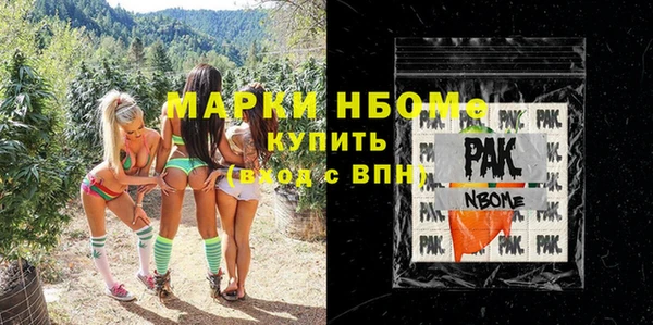 сатива Каменка