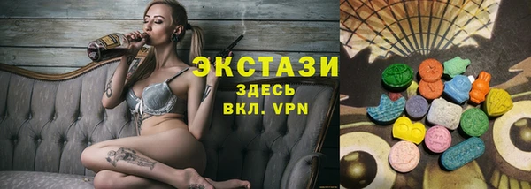 сатива Каменка