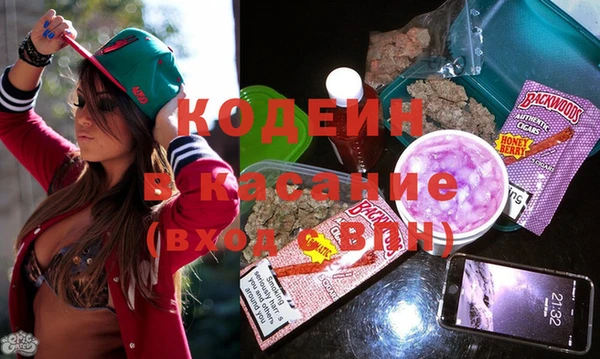 сатива Каменка