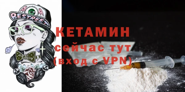 сатива Каменка